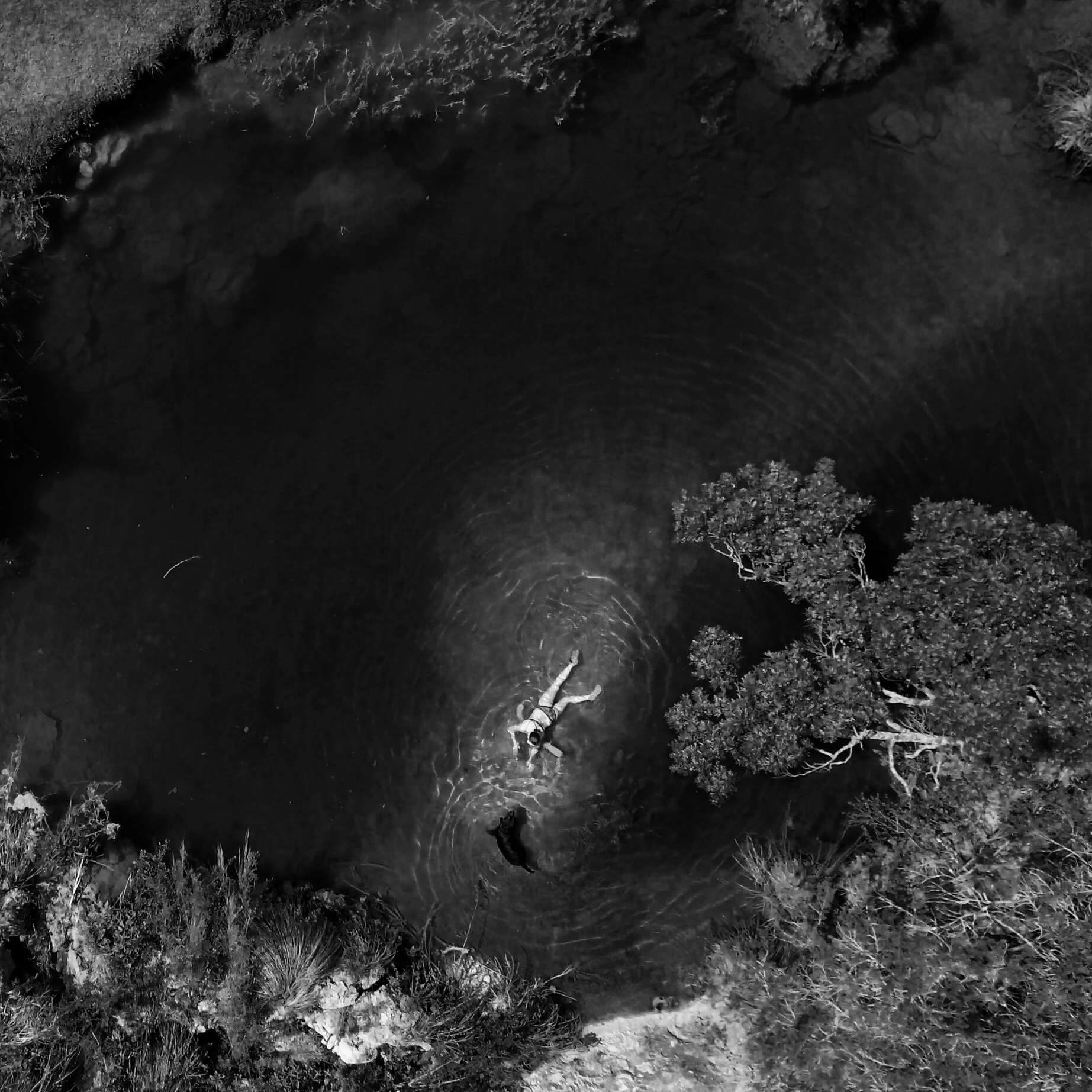 Swimming hole in July, 2015.